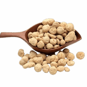 WhatsApp_Image_2025-06-26_at_3.11.59_PM-removebg-preview (1)